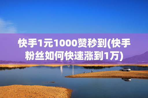 快手1元1000赞秒到(快手粉丝如何快速涨到1万)